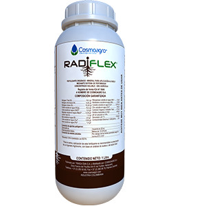 RADIFLEX X 1 LT